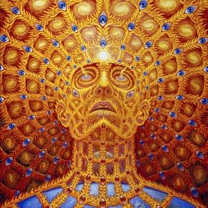 Meet your Posher, Wes